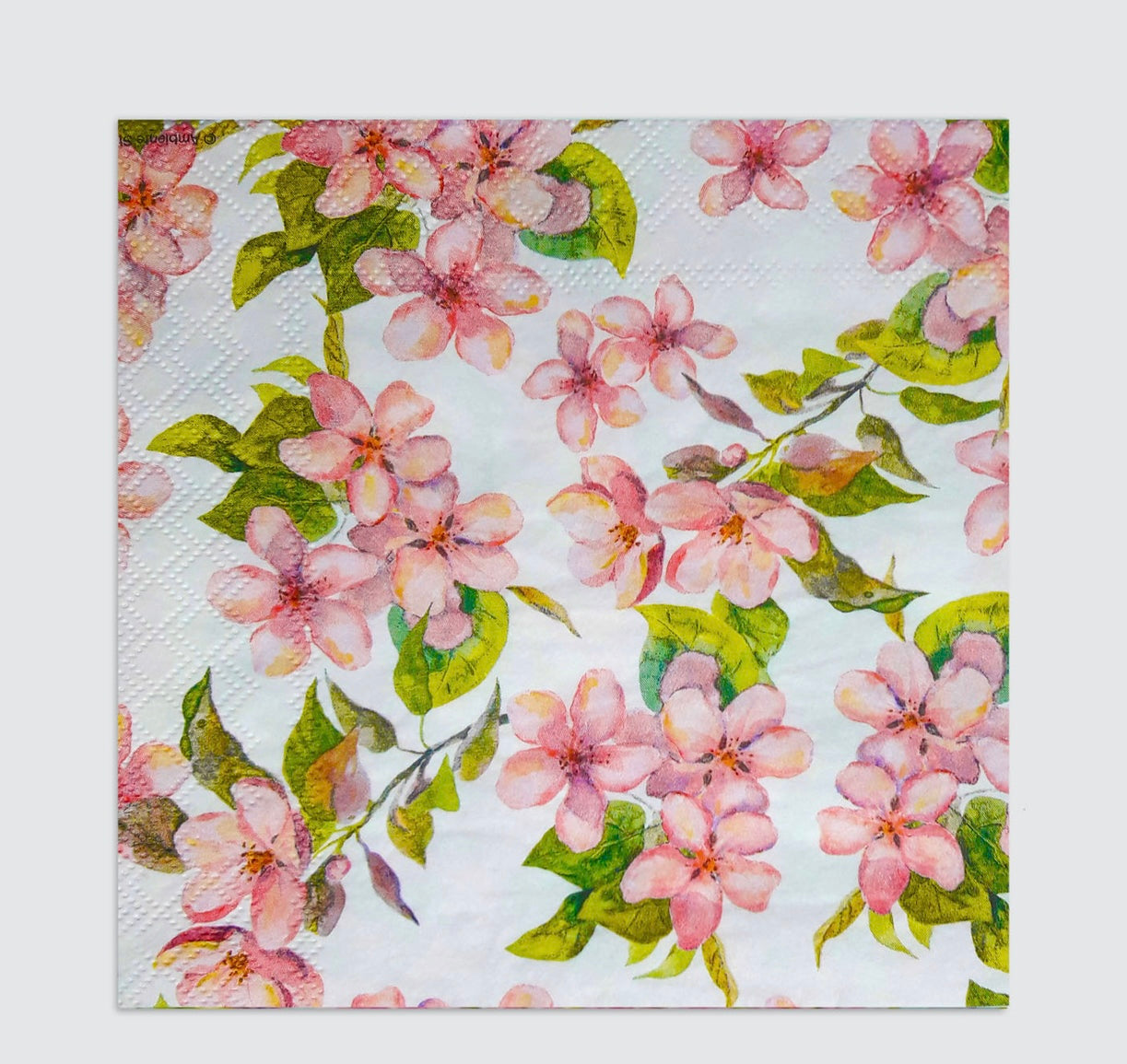 Decoupage tissue Napkin - Journal Carnival