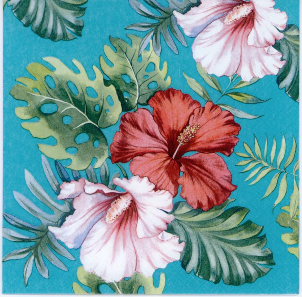 Decoupage tissue Napkin - Journal Carnival