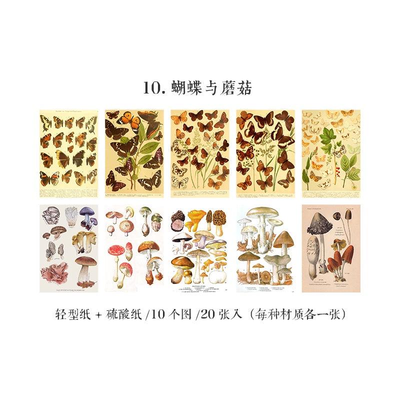 Vintage Traces old time Material Papers - Journal Carnival