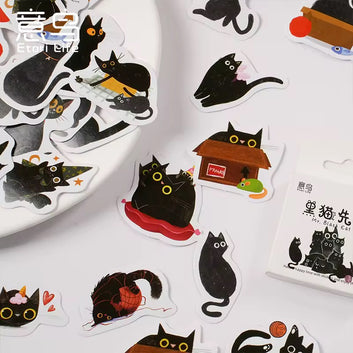 Cute cat sticker box