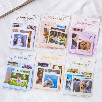 Heart Love Pet stickers