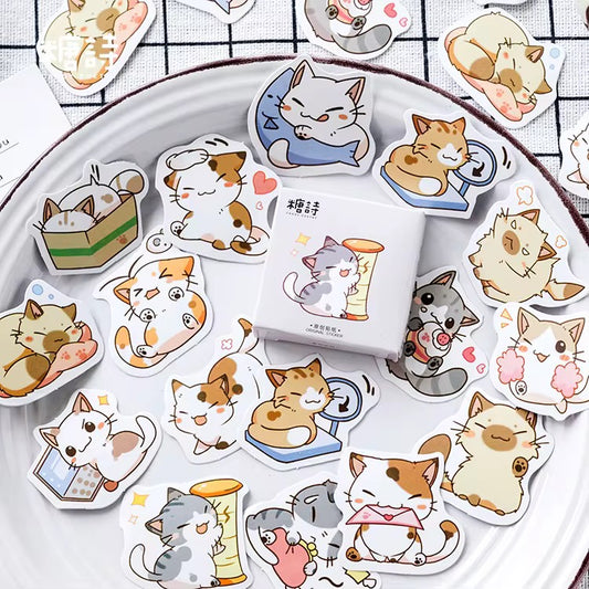 Cute Cat Sticker box