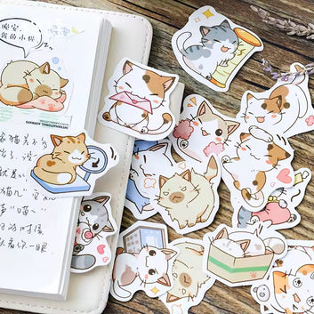 Cute Cat Sticker box