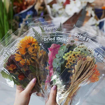 Dried Pressed Flower Stickers - Journal Carnival