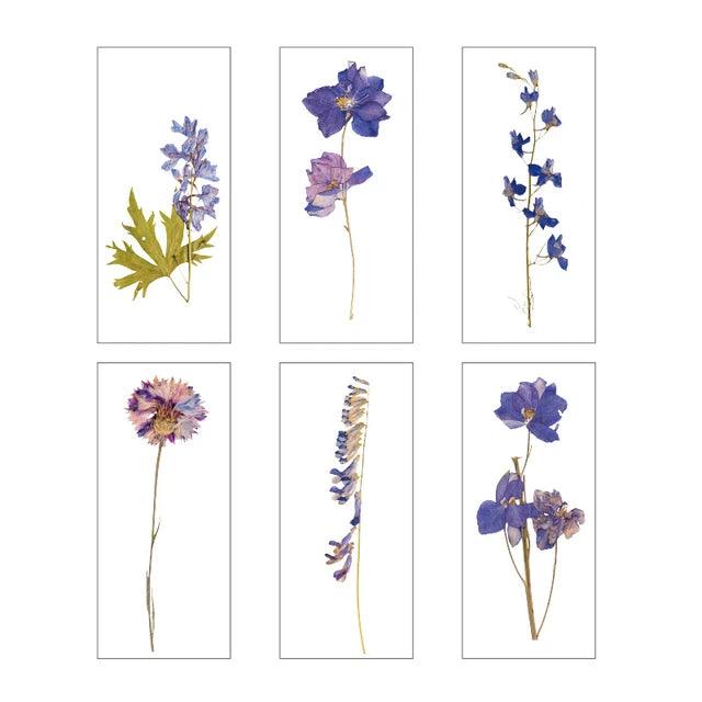 Dried Pressed Flower Stickers - Journal Carnival