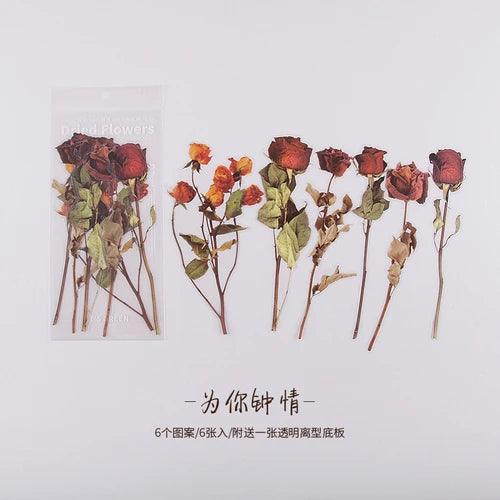 Dried Pressed Flower Stickers - Journal Carnival