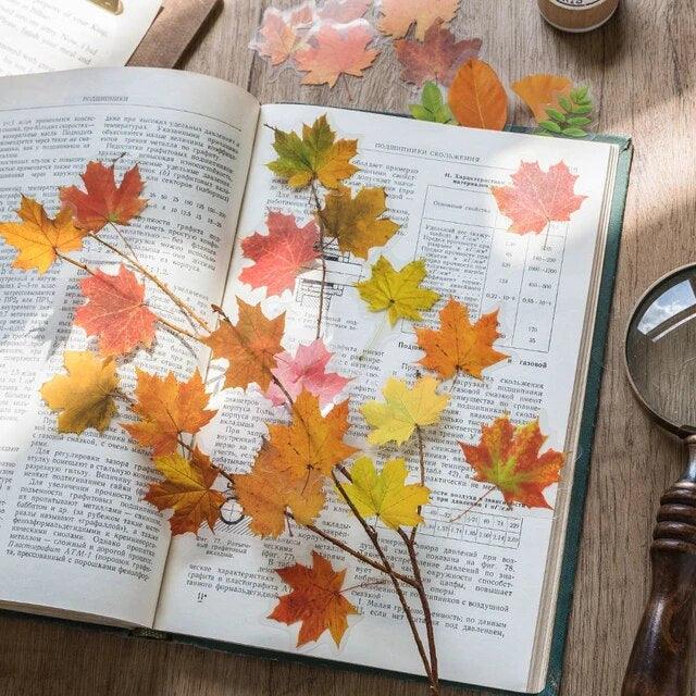 Leaf Nature Series Pet Stickers - Journal Carnival