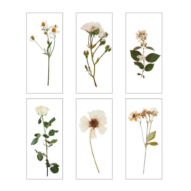 Dried Pressed Flower Stickers - Journal Carnival