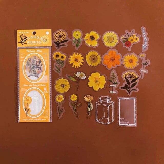 Natural Atlas Series Stickers - Journal Carnival