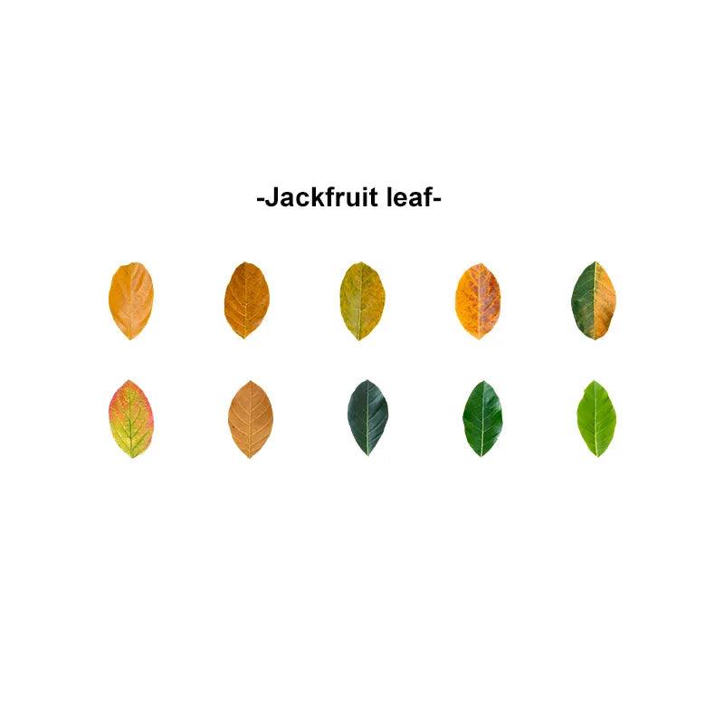 Fallen Leaves Series Washitapes - Journal Carnival
