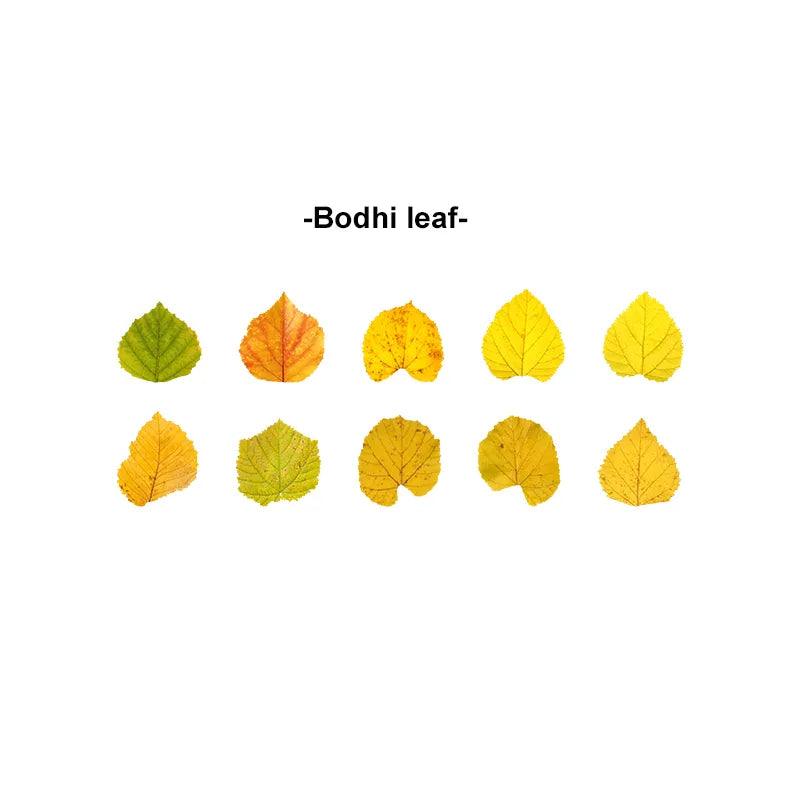 Fallen Leaves Series Washitapes - Journal Carnival