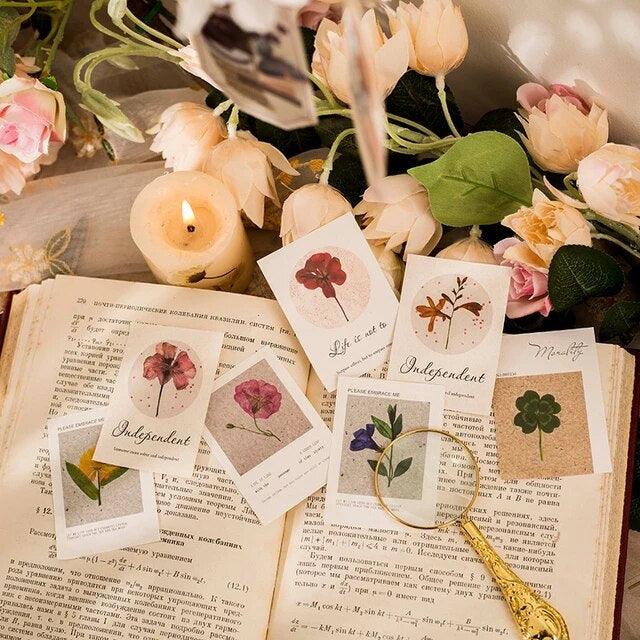 Small Flower Shop Series Pet Sticker - Journal Carnival