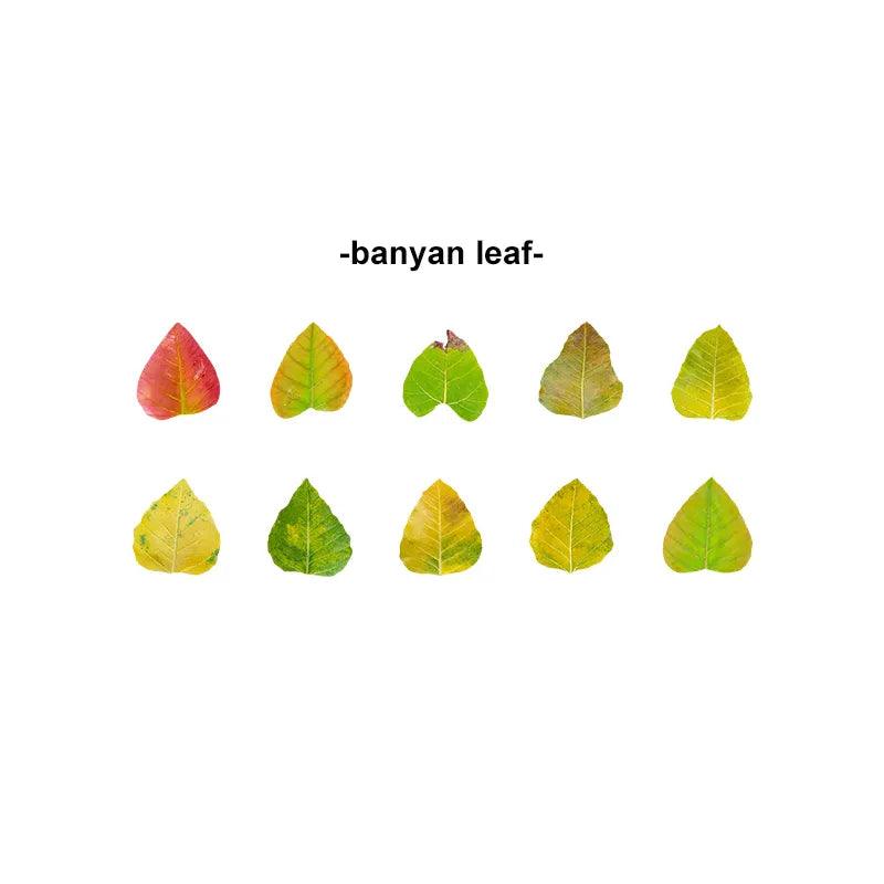 Fallen Leaves Series Washitapes - Journal Carnival