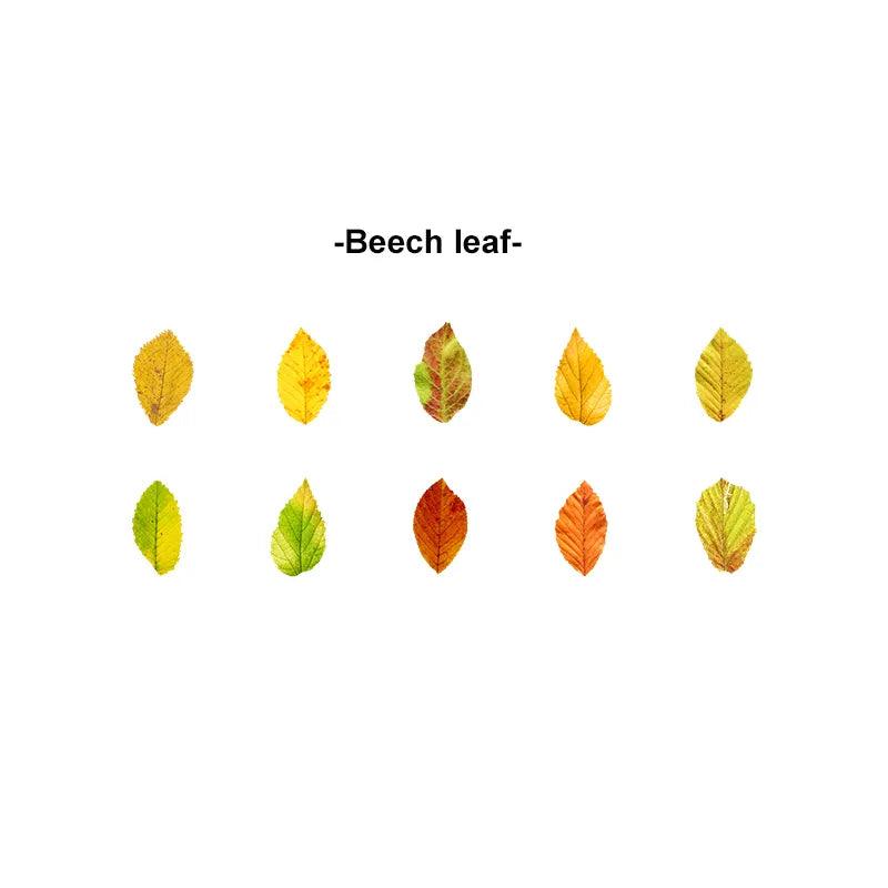 Fallen Leaves Series Washitapes - Journal Carnival