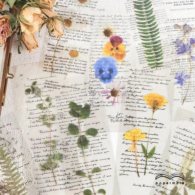 Poetry Collection Pet Stickers - Journal Carnival