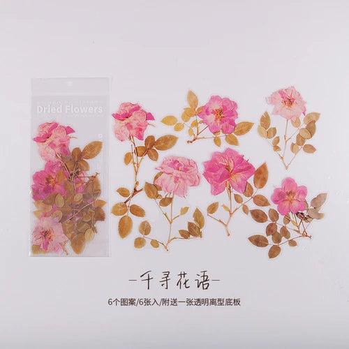 Dried Pressed Flower Stickers - Journal Carnival